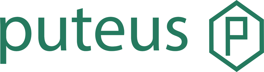 puteus GmbH Logo