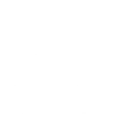 Hornet Security